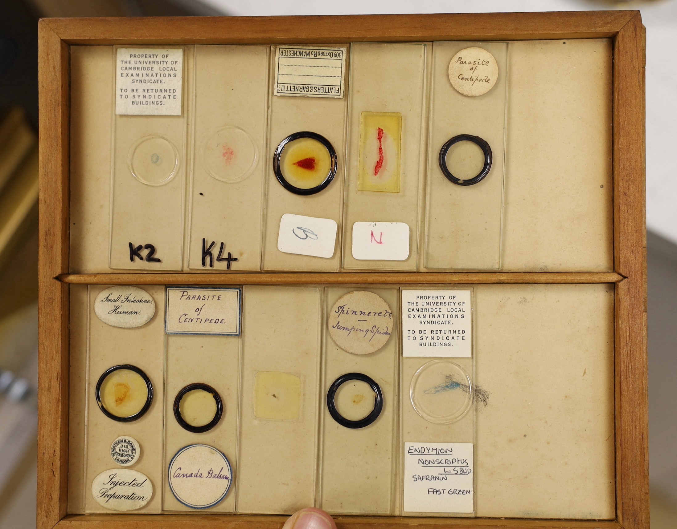 A collection of approximately 200 Victorian and later microscope slides in late 19th century cabinet. Ivory submission reference: UKC532GL